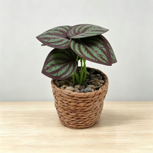 Artificial Plants