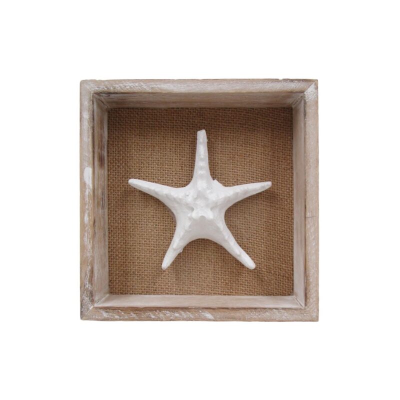 Coastal Starfish Shadow Box Wall Decor - Coastal (Summer) - life-deco.com