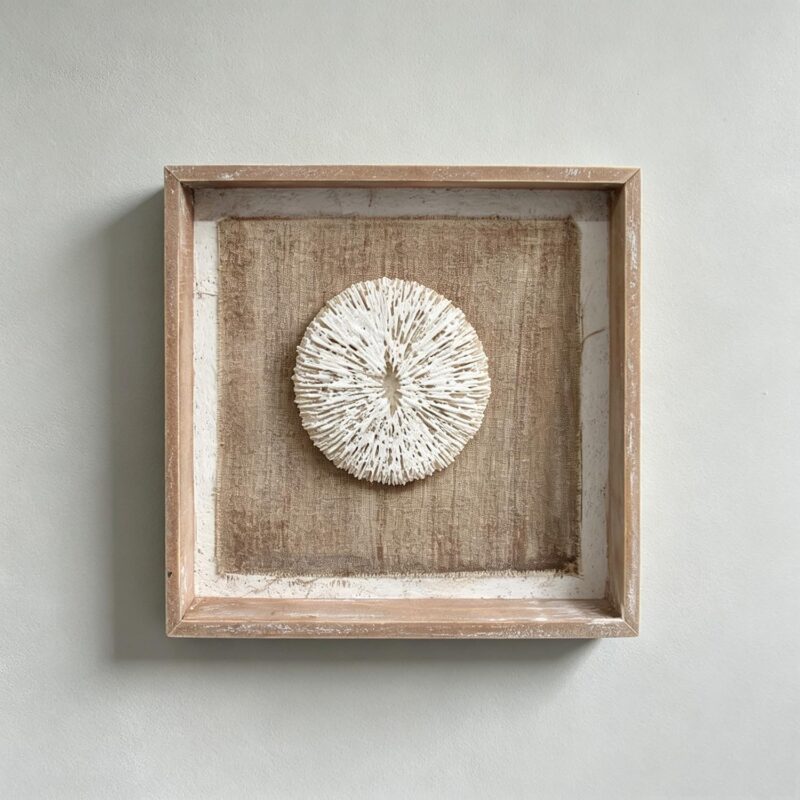 Coastal 3D Coral Shadow Box Wall Art - Coastal (Summer) - life-deco.com