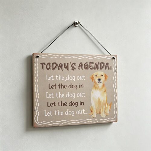 Pet Decor