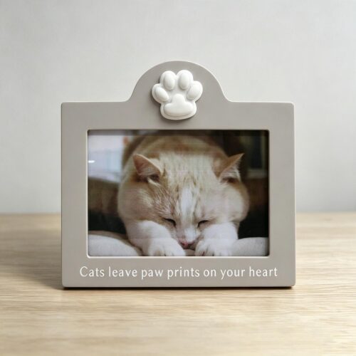 Pet Decor