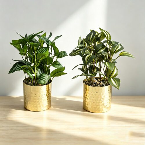 Home Accessories