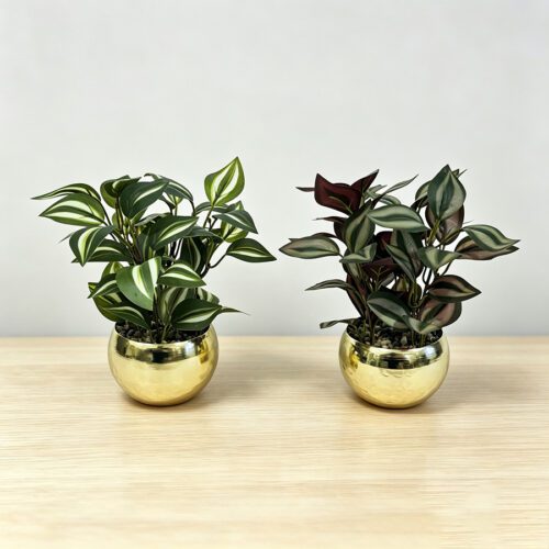 Artificial Plants