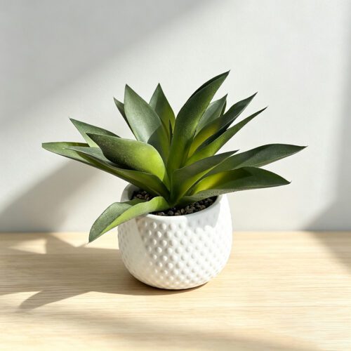 Home Accessories