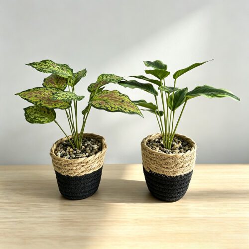 Home Accessories