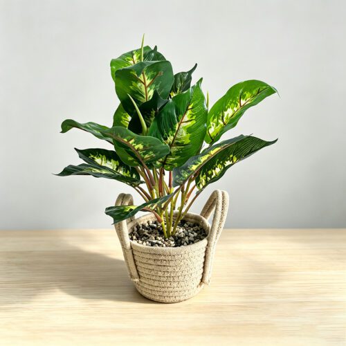 Artificial Plants