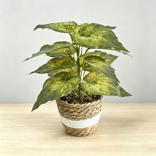 Home Accessories