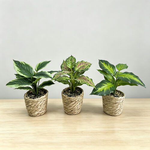 Artificial Plants