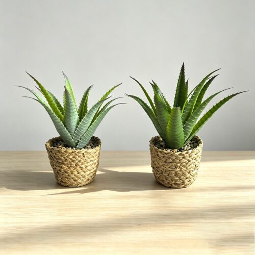 Artificial Plants