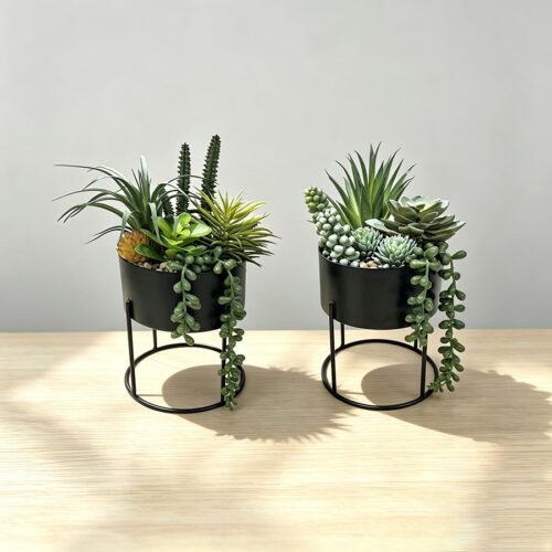 Home Accessories