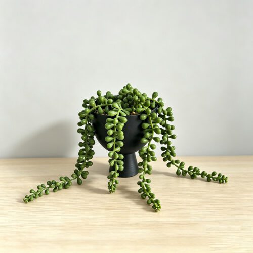 Artificial Plants