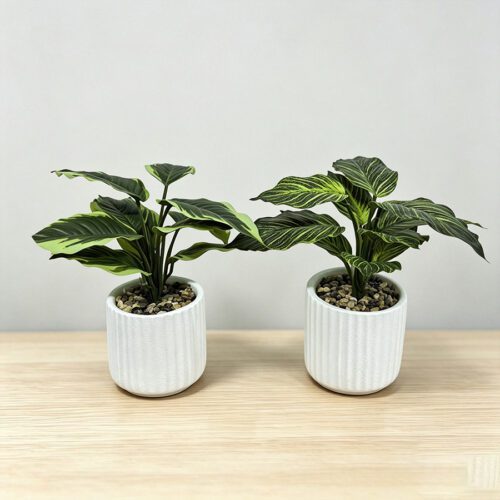 Home Accessories