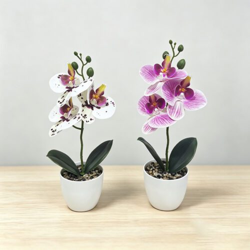 Home Accessories