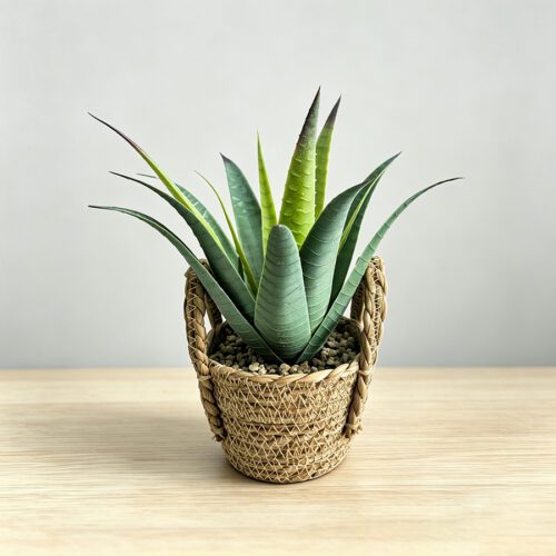 Artificial Plants