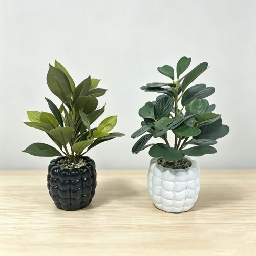 Home Accessories