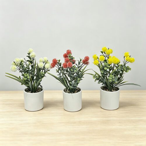 Home Accessories