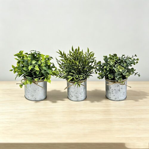 Home Accessories