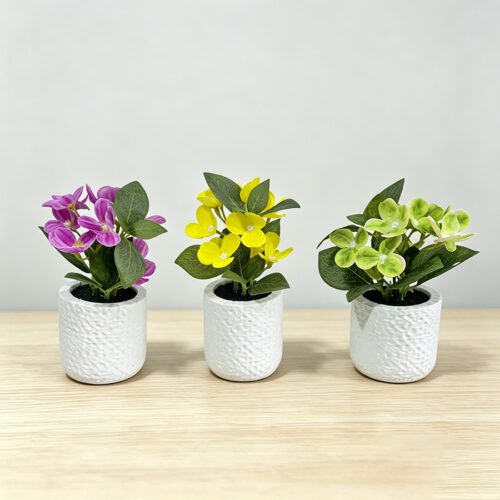 Home Accessories